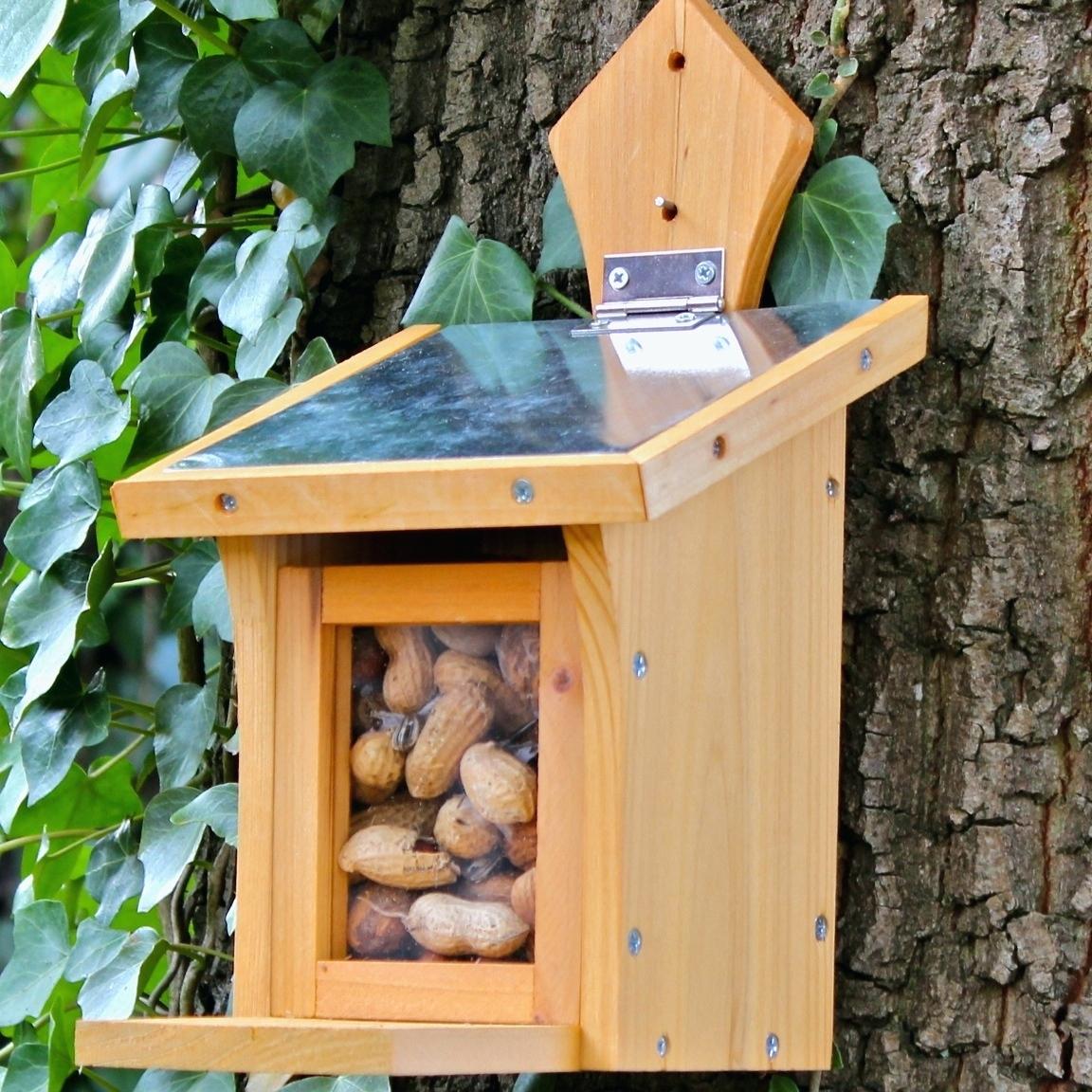 futterstation vogel eichharnchen nuss bar natur bausatz futterplatz futterkasten vogelhaus vogelfutterstation holz basteln tontopf