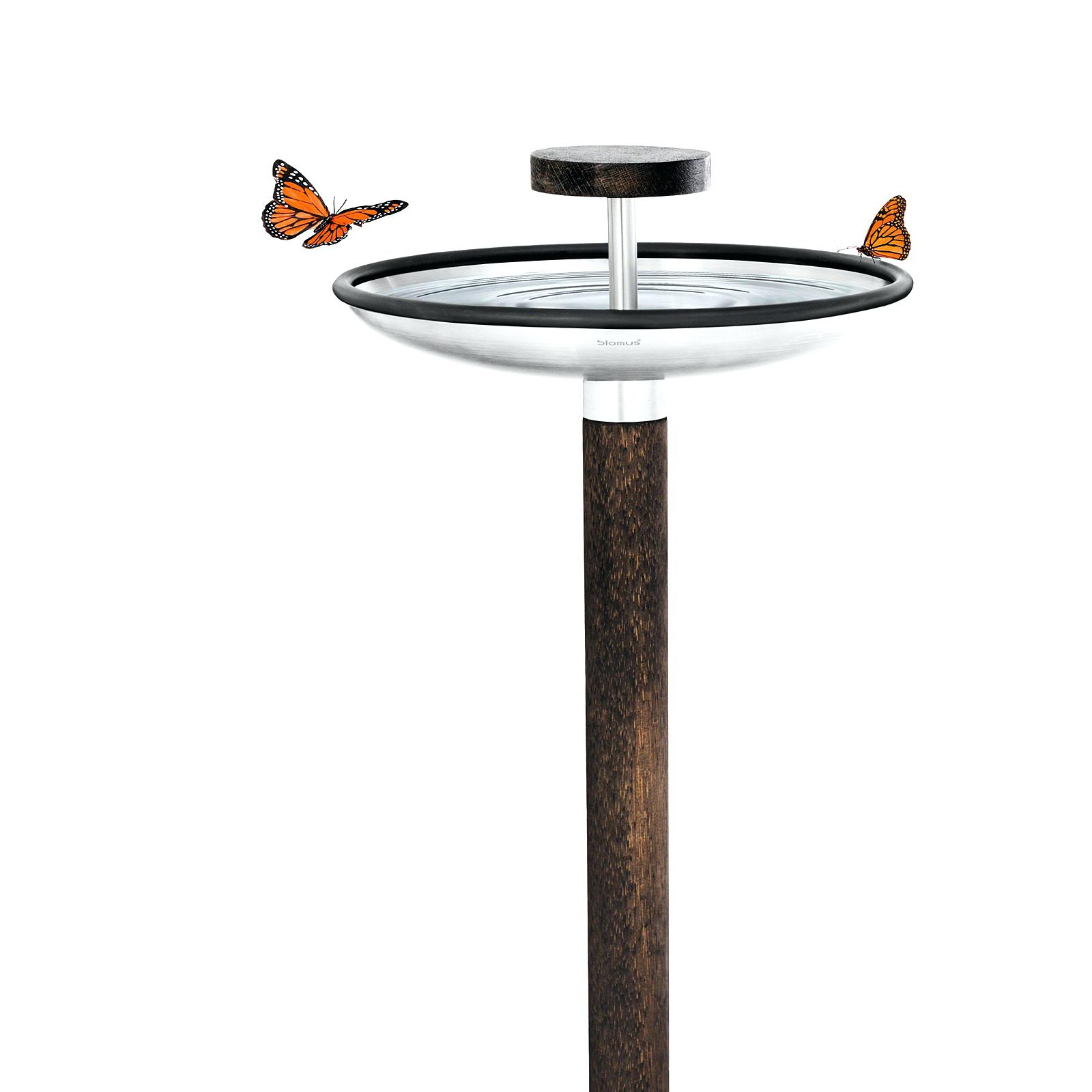 futterstation vogel rastplatz vogeltranke edelstahl matt blomus fuera vogelfutterstation kindern basteln selber bauen vogelfutterstationen